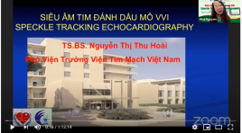 Video bài giảng siêu âm tim đánh dấu mô VVI cô Nguyễn Thị Thu Hoài viện tim mạch Việt Nam