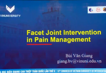 Facet joint intervention in pain management
